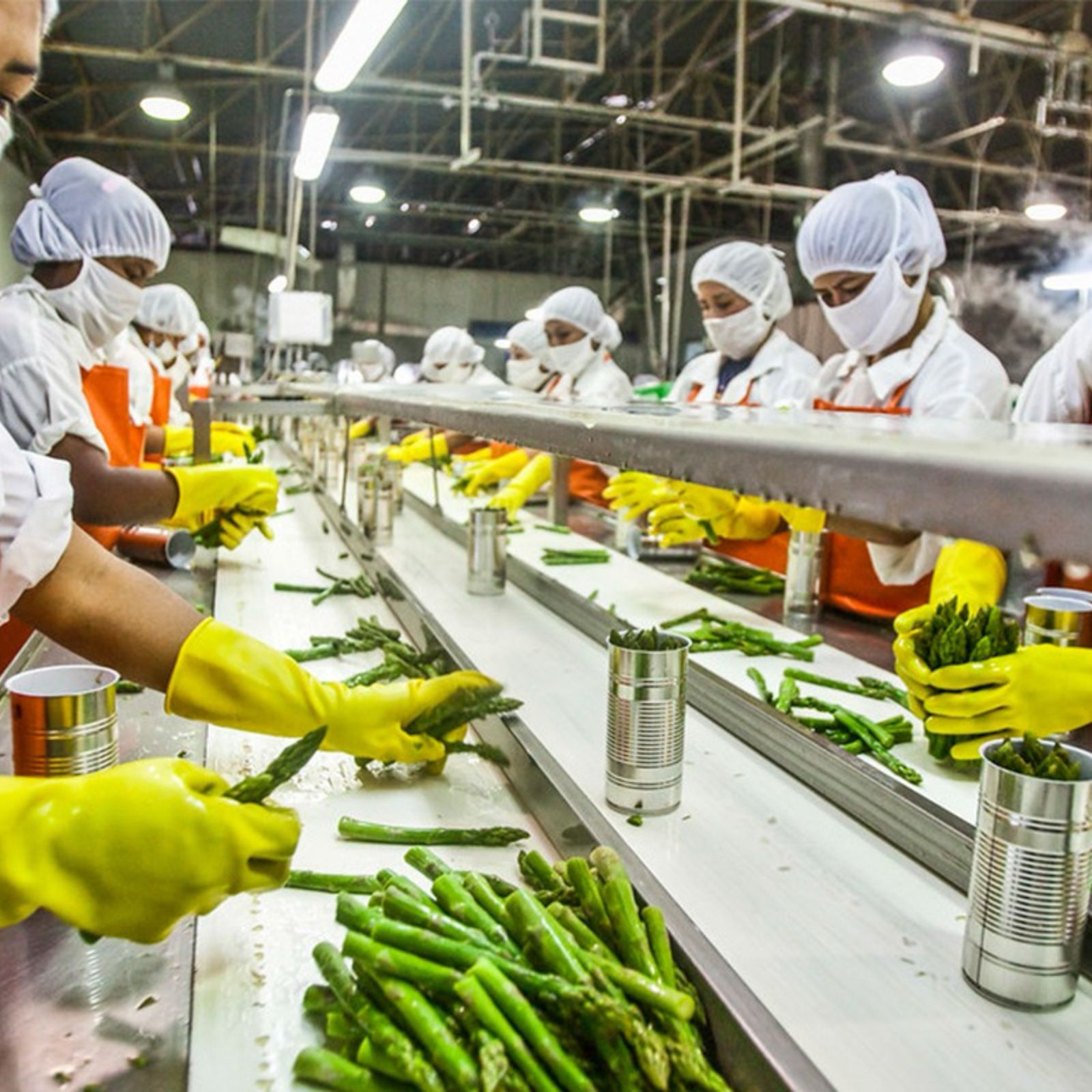 Food Processing